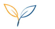 Illustration du développement